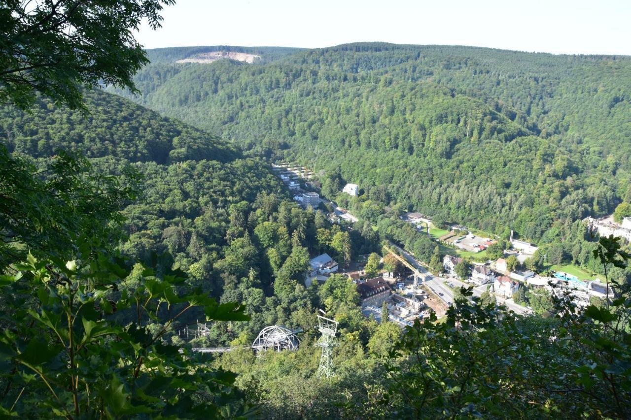 Ferienwohnung Bergblüte Bad Harzburg Exterior foto